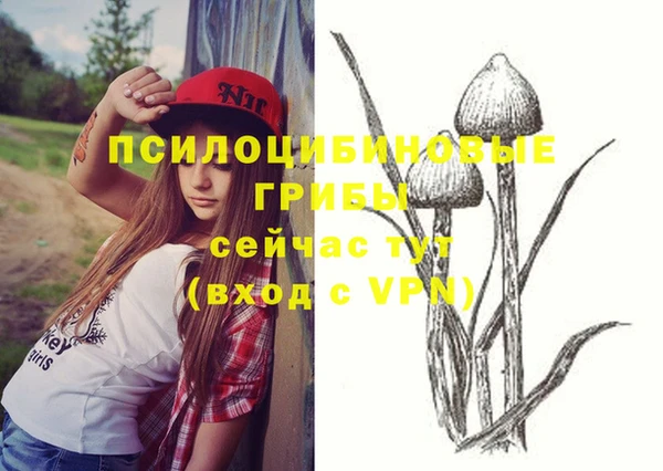 каннабис Белокуриха