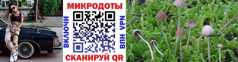 Псилоцибиновые грибы GOLDEN TEACHER  Купить закладки  Змеиногорск 